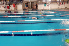 Mistrzostwa Nowego Sącza w Pływaniu
