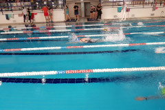Mistrzostwa Nowego Sącza w Pływaniu